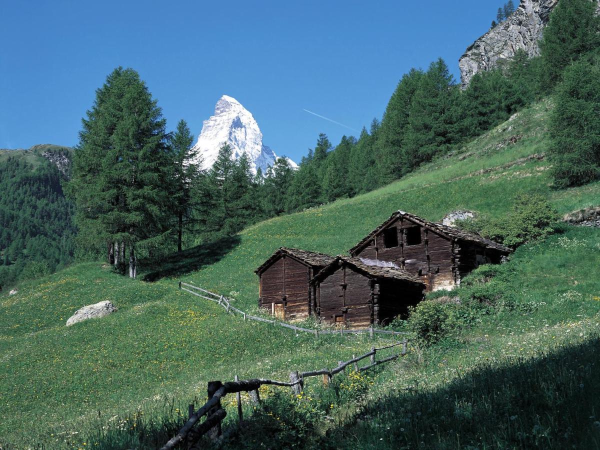 Apartment Lauberhaus By Interhome Zermatt Eksteriør billede